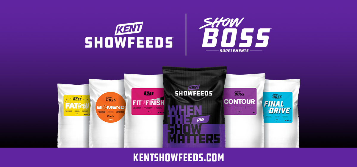 Kent Show Feeds