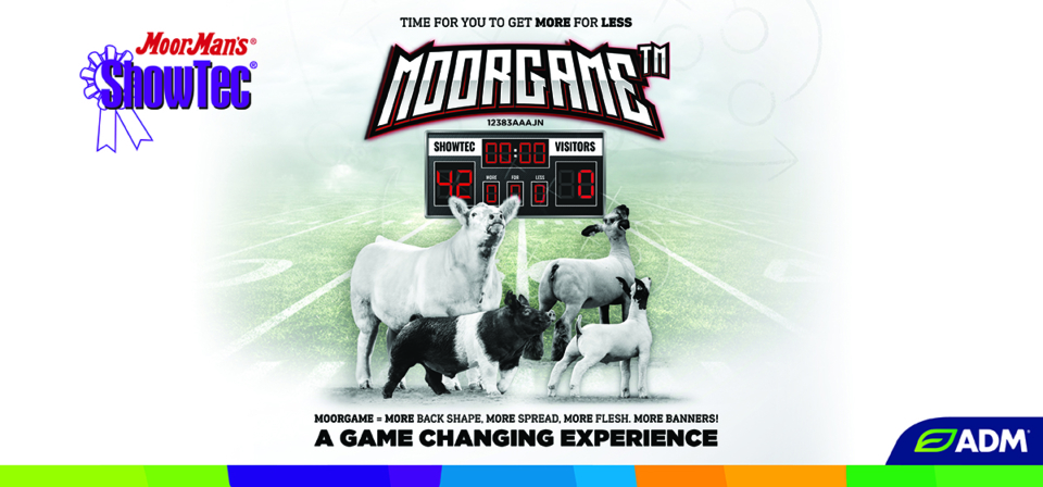 MoorGame