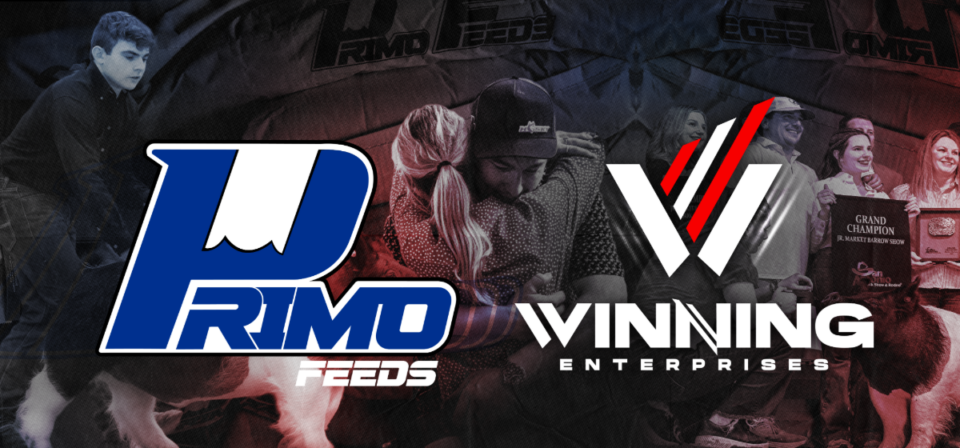Primo Website Banner