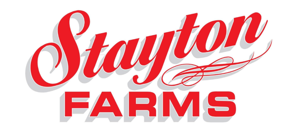 Stayton Digital Banner