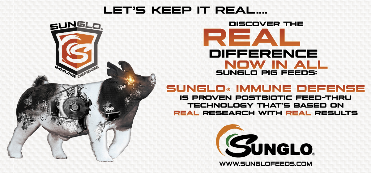 Sunglo_Immune Defense_Ad_1200X560_1123 v2