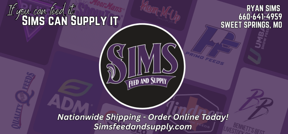 TP Website Image-SIMS