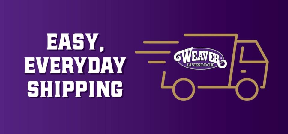 Team Purebred Digital Banner 1200×560 WEAVER