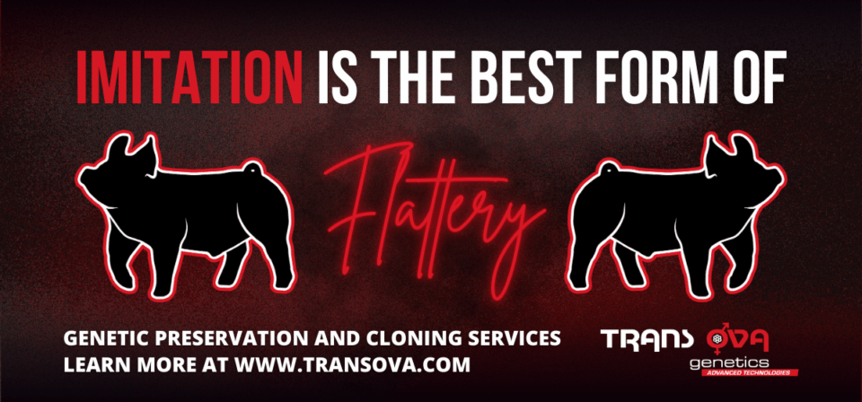 TransOva