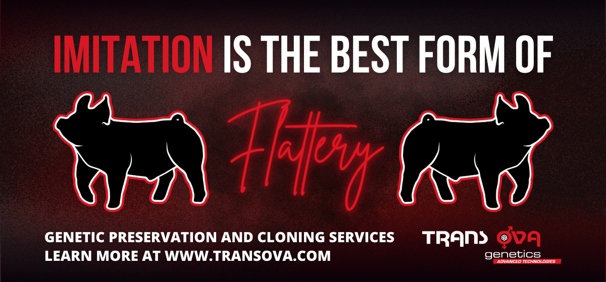 TransOva