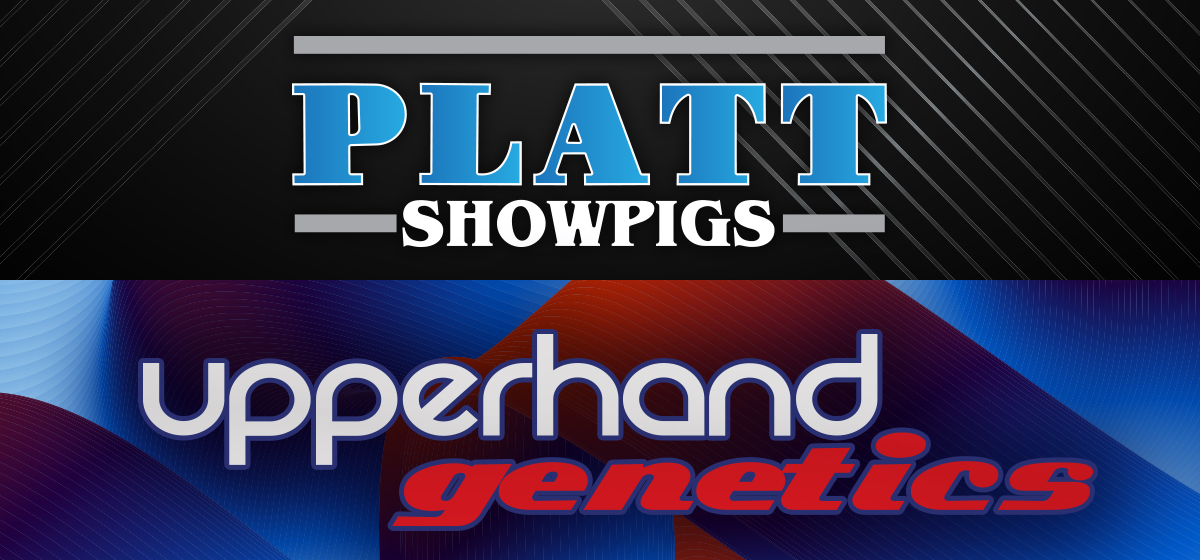 Platt Showpigs Upperhand Genetics